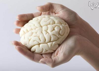 5 تمرین عالی برای تقویت حافظه و ذهن