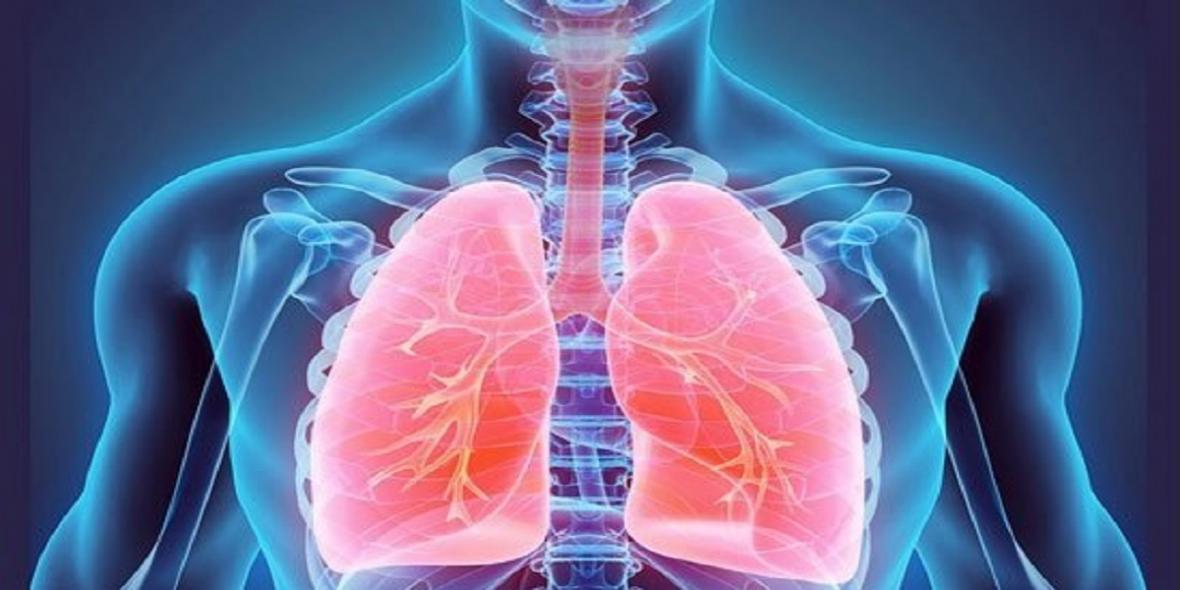 6 راه حل ساده برای تقویت ریه ها و دستگاه تنفسی