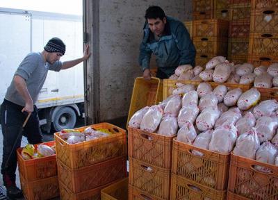 توزیع 200 تن مرغ با قیمت مصوب در شهرستان ری