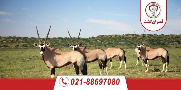 جاذبه های توریستی آفریقای جنوبی جاذبه های توریستی آفریقای جنوبی