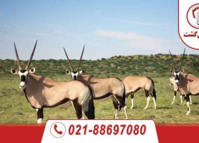 جاذبه های توریستی آفریقای جنوبی
